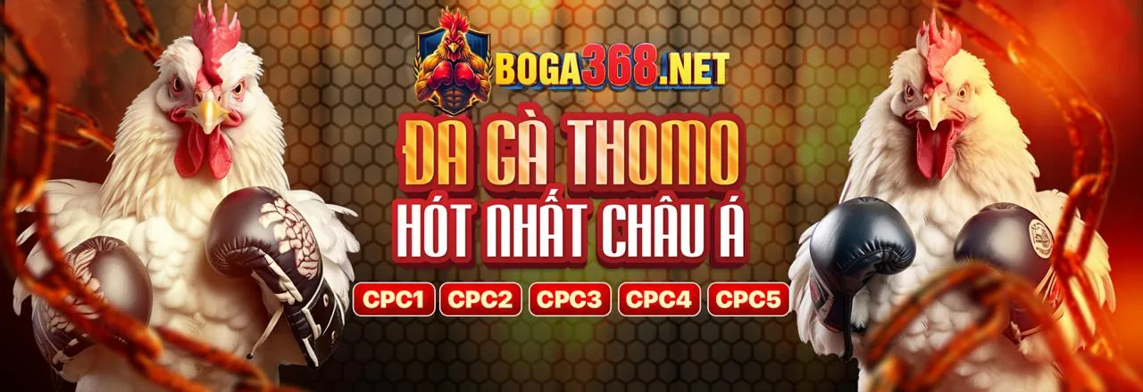 444hu88 Nền tảng Cá cược Trực tuyến